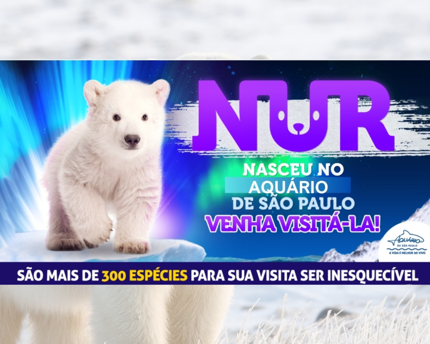 CONHEÇA A URSINHA NUR NO AQUÁRIO DE SÃO PAULO!